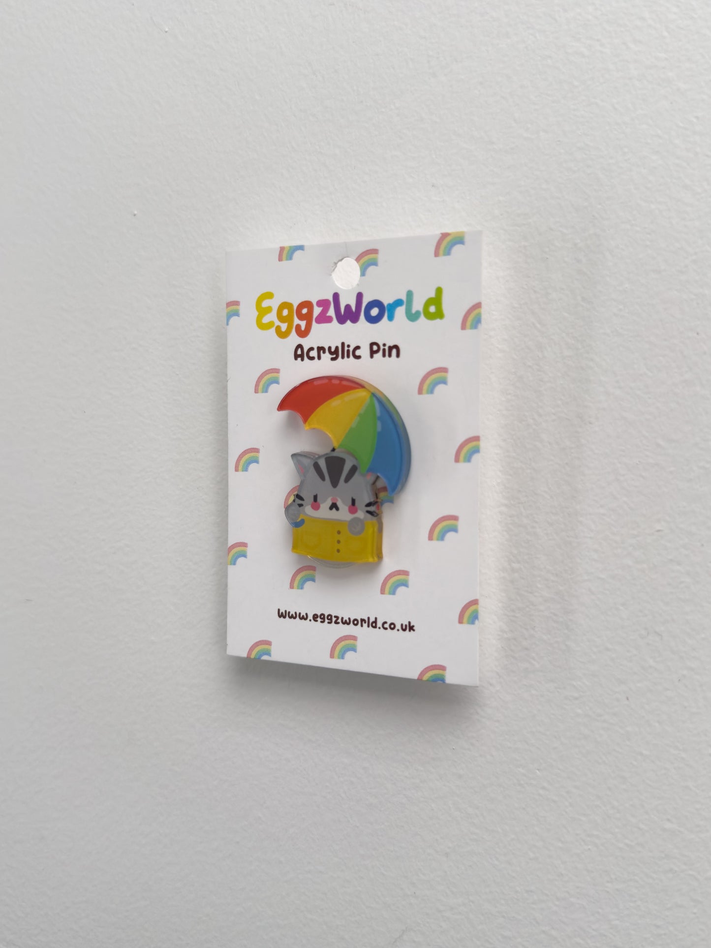 Sad Kitty Acrylic Pin