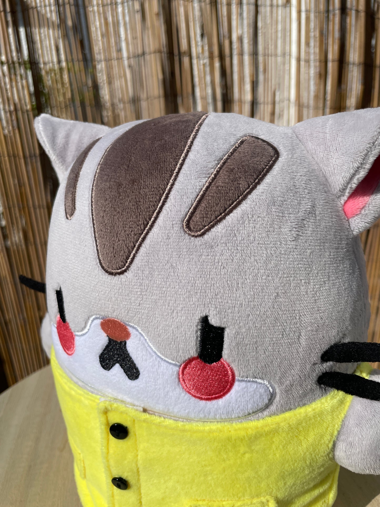 Sad Kitty Plushie