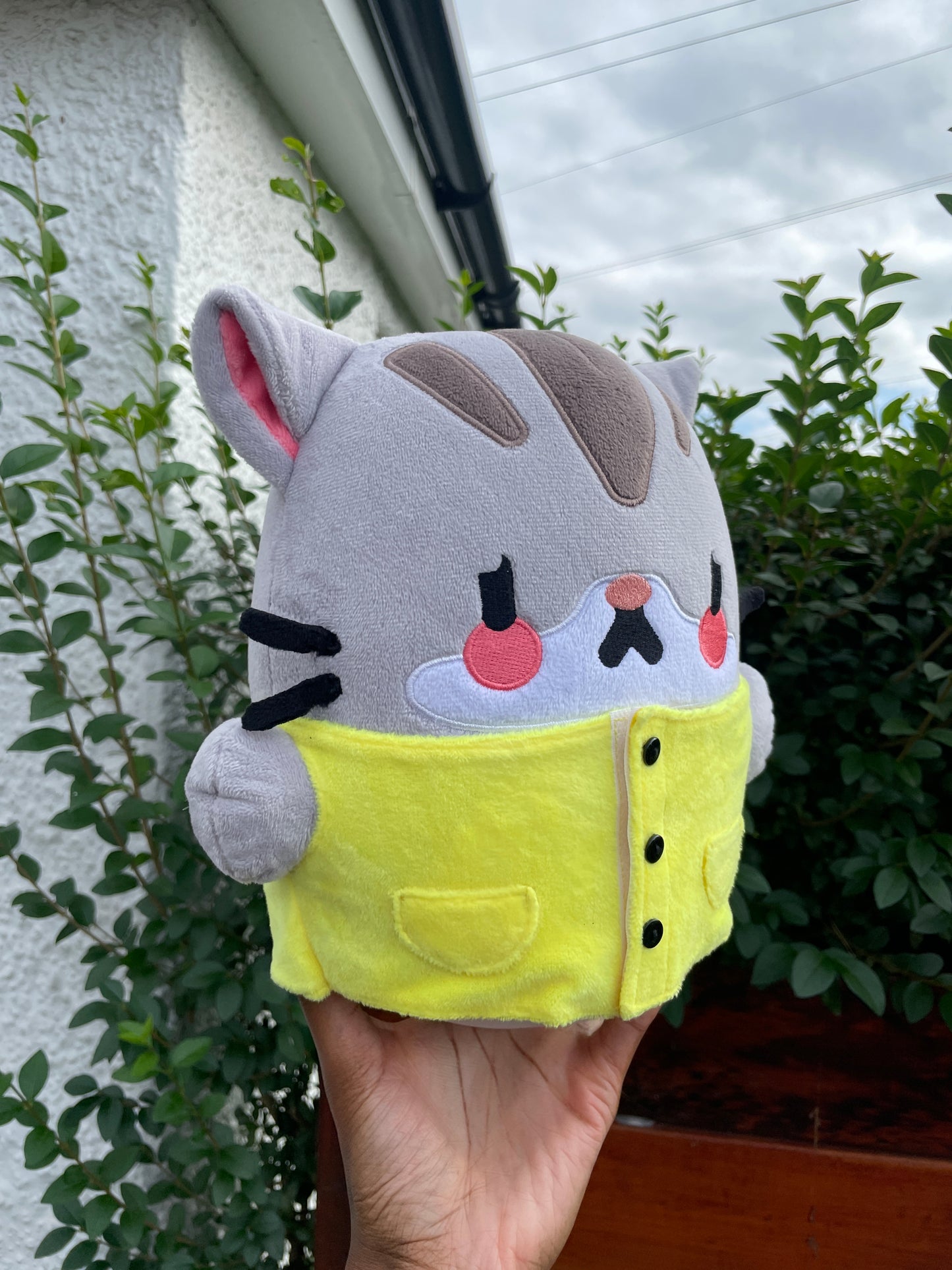 Sad Kitty Plushie