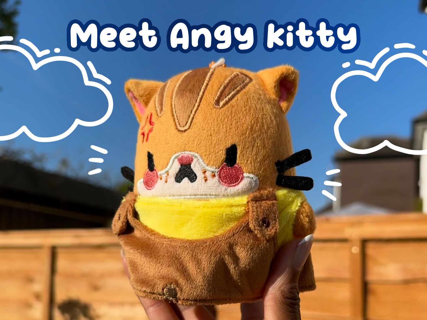 Mini Angy Kitty Keychain Plushie